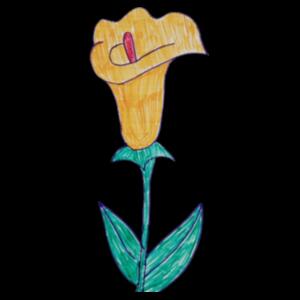 Blooming Beauty - Unisex Sweater  Design