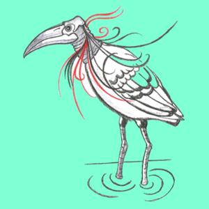 MapBird - Ladies Short-sleeve T-shirt  Design