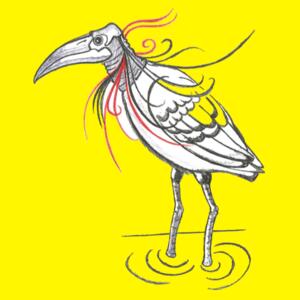 MapBird - Junior Short-sleeve T-shirt Design