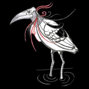 MapBird - Junior Long-sleeve T-shirt Design